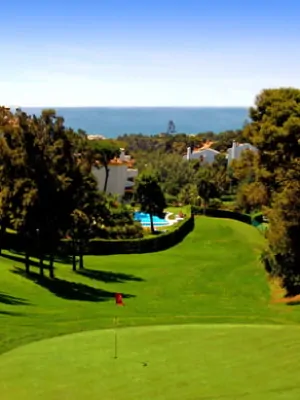 14-GOLF