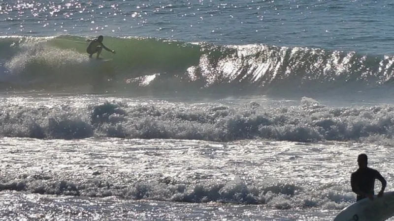19-SURF